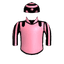 EVALUATION