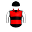 ZAP DANCER