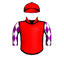 RUBYDOO
