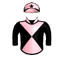 SECRET FORCE
