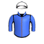 VEGA'S MIRAGE