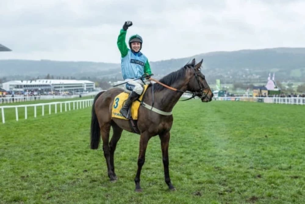 Gavin Sheehan: A Jockey's Journey to the Top