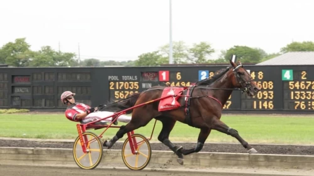 Hambletonian: The Legendary Stallion Who Redefined Harness Racing