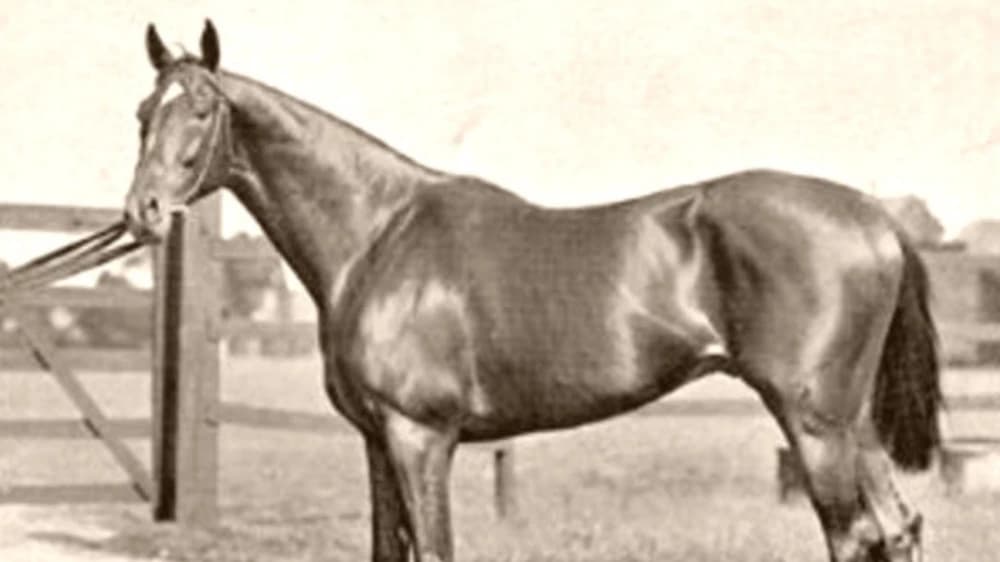 Isinglass: The Legendary Racehorse Who Defined an Era