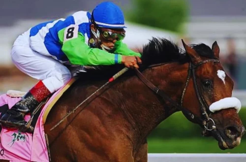 Barbaro: A Legacy of Triumph, Tragedy, and Transformation in Horse Racing