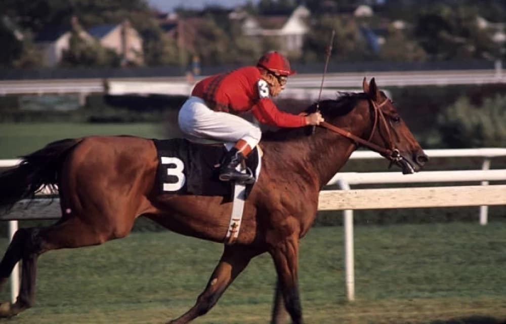 Dr. Fager: The Legendary Thoroughbred Who Redefined Greatness