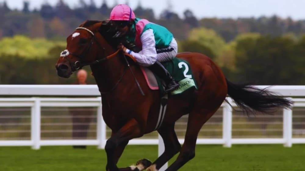 Frankel: The Undefeated Legend Who Redefined Horse Racing