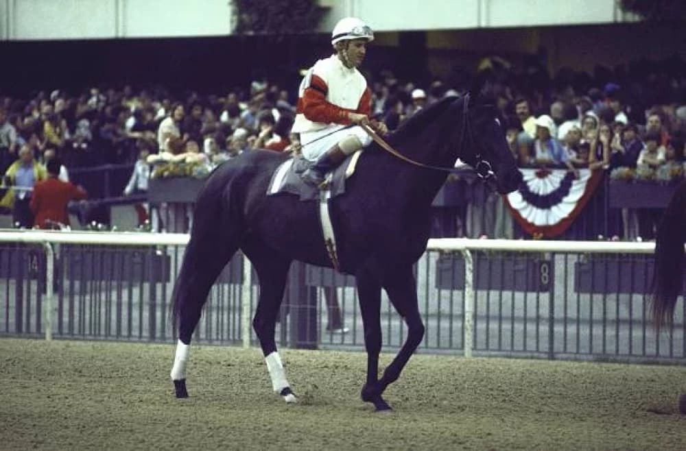 A Tribute to the Legendary Racehorse Ruffian