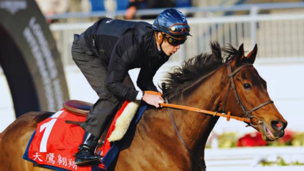 The Brilliant Career of Christophe Soumillon