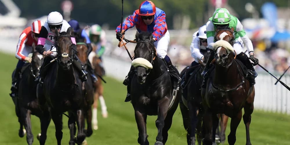 From Goodwood to Glory: Big Mojo Eyes Flying Childers Win and Breeders' Cup Dream