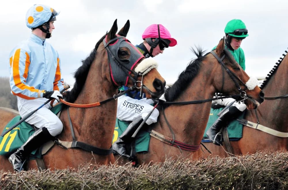 Soprano Poised for Value Play in Competitive QE II Challenge Cup at Keeneland