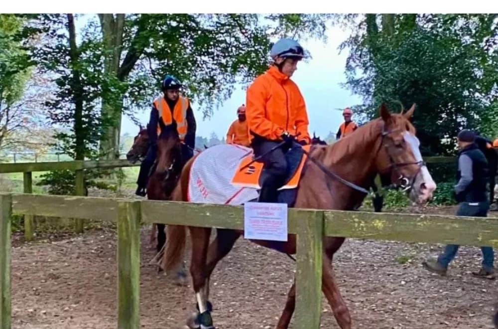 All Systems Go for Big Evs Can the Reigning Champ Repeat at the Breeders' Cup?