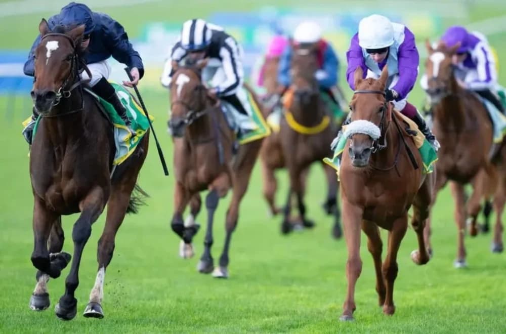 Ballydoyle Runner in Fillies' Mile: January Set to Challenge Desert Flower