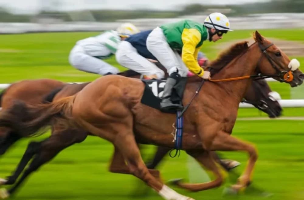 The Funniest Horse Names in Racing: From 'Ungrateful Ellen' to 'Passing Wind