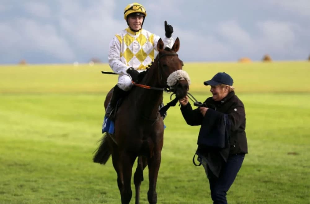 Alphonse Le Grande Loses Cesarewitch After Jockey's Whip Rule Breach