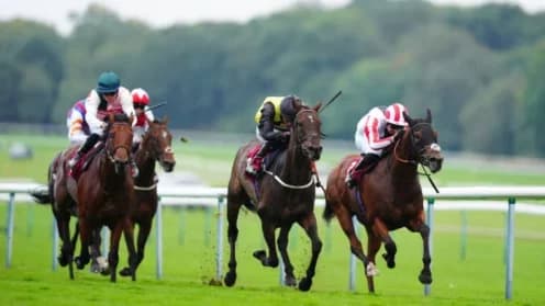 Sheehan and Hewick Reunite for Betfair Chase Showdown