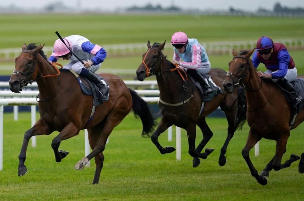 Content Triumphs in Yorkshire Oaks, O'Brien Matches Record