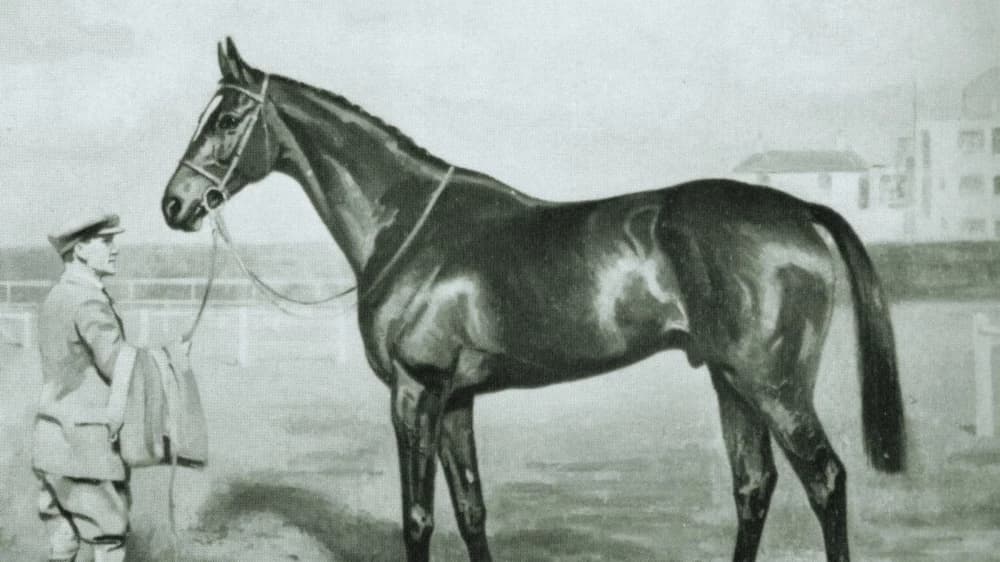 Bahram: The Legendary Racehorse of the 20th Century