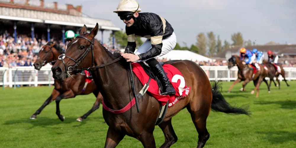 Alfa Kellenic Defies the Odds to Claim Sixth Consecutive Victory at Ayr