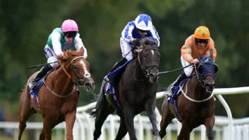 Tim Clark Eyes Victory on Rustic Steel in The Hunter Race