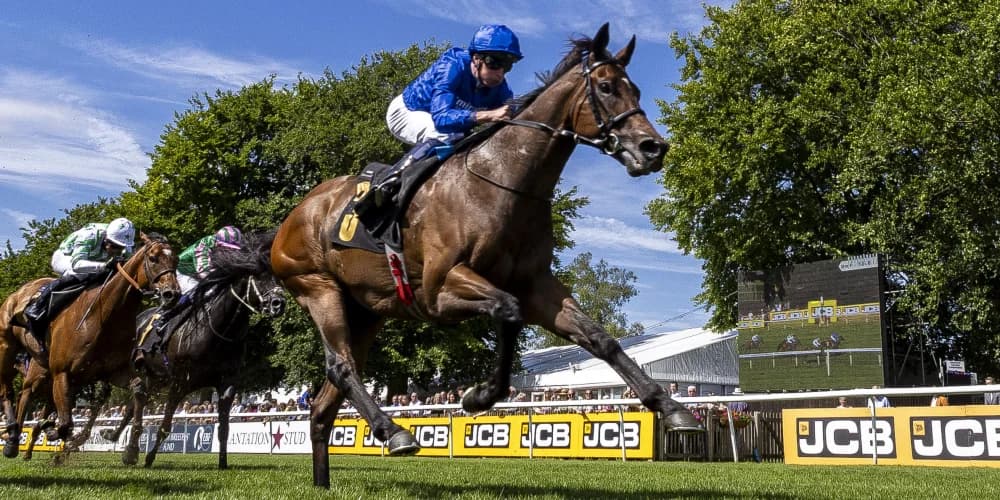 Noble Dynasty continues on upward curve at Newmarket