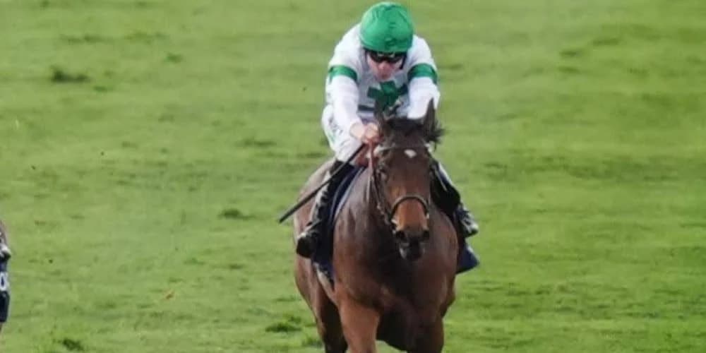 Goodwood and Paris enter Tamfana equation