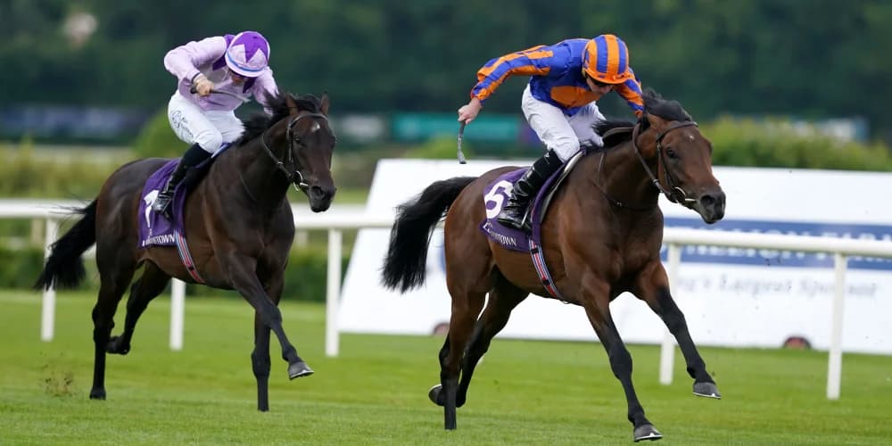 Portland in line for Royal Ascot after game Leopardstown win