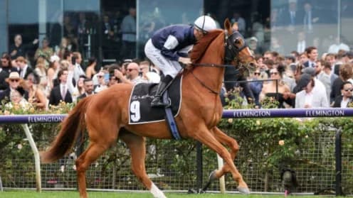 Serpentine Poised for Zipping Classic Redemption at Caulfield