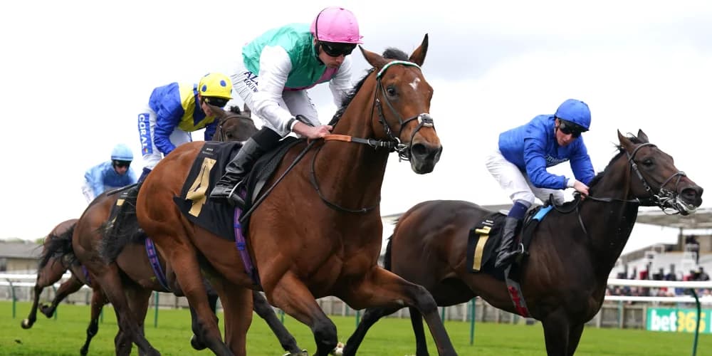 Kikkuli Aims for Comeback in Hungerford Stakes