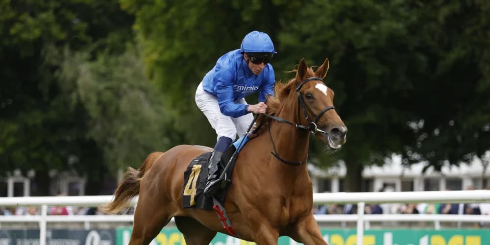 "Elegant Juvenile Fillies Set for May Hill Showdown"