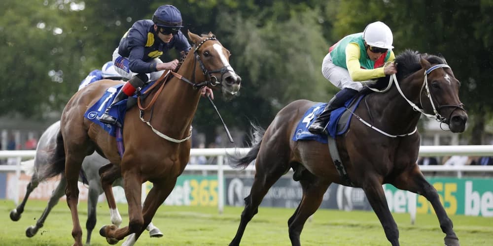 Mill Stream to be saved for Ascot and Sha Tin targets