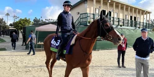 Ramatuelle Withdrawn from Breeders' Cup Mile Due to Veterinary Advice