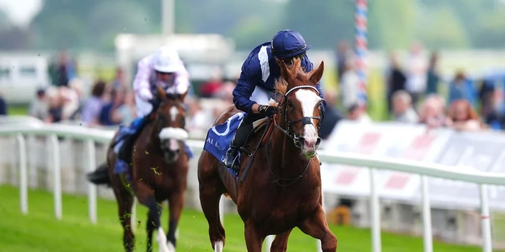 Plans fluid for Economics, but Haggas outlines potential routes