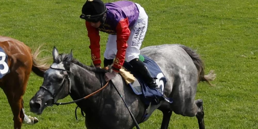 Treasure hunting Oaks glory for the King and Queen