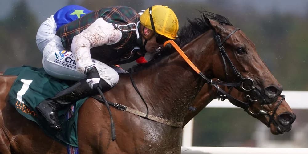 Twomey will now keep A Lilac Rolla and Purple Lily apart