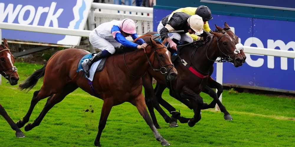 "Lidster’s Star Filly Alfa Kellenic Eyes Black Type After Stunning Ebor Festival Win"