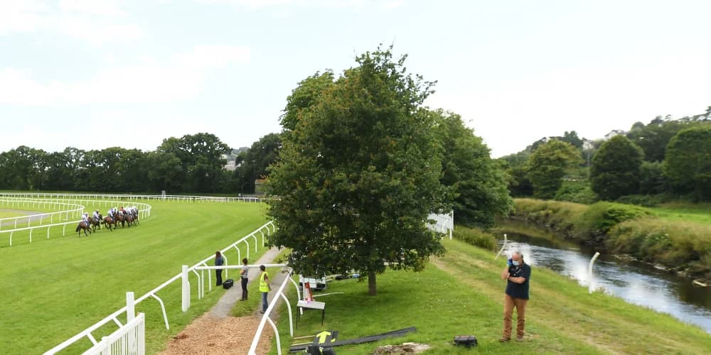 British Horseracing Authority ‘deeply saddened’ by Newton Abbot fatalities