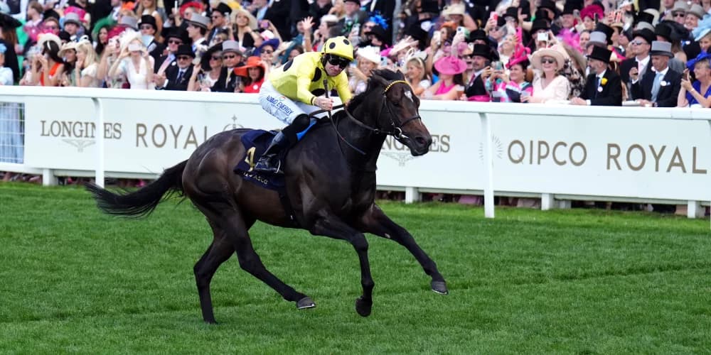 Inisherin freshened up and raring to go in search of Sprint Cup glory