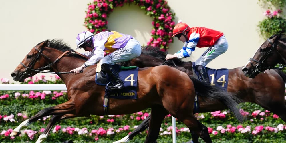 Distance runner gets up late for thrilling King George V win