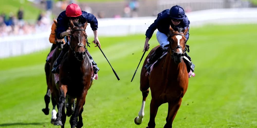 Hughes looking to have last Laugh in Hampton Court