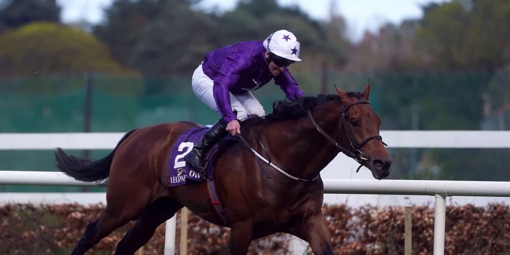 Dallas Star on the sidelines having met with Derby setback