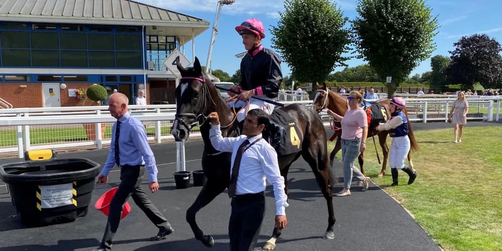 At Haydock, First Instinct continues its upward trajectory.