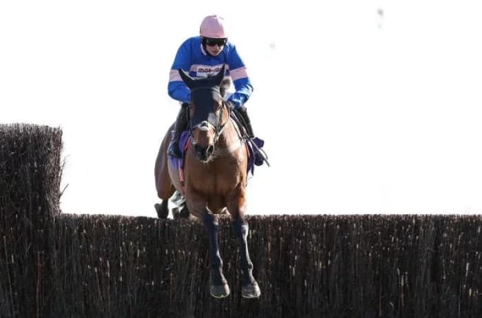 Rising Star Sean Bowen: A Journey in Horse Racing