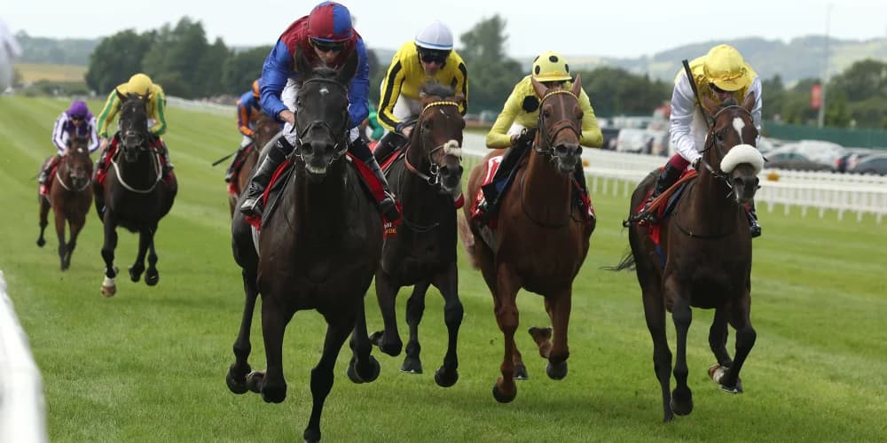 "From Near-Fall to Classic Hope: Sunway’s Remarkable Journey to the St Leger"