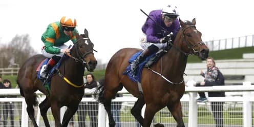 Adrian Murray Targets Breeders' Cup Success with Hopefuls
