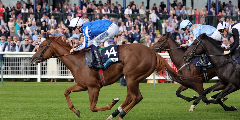 Billy Loughnane Shines with Hat-Trick Triumph at Ayr