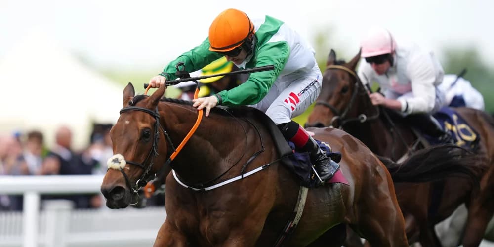 Royal Ascot Star Crystal Black Withdrawn from Melbourne Cup After Setback