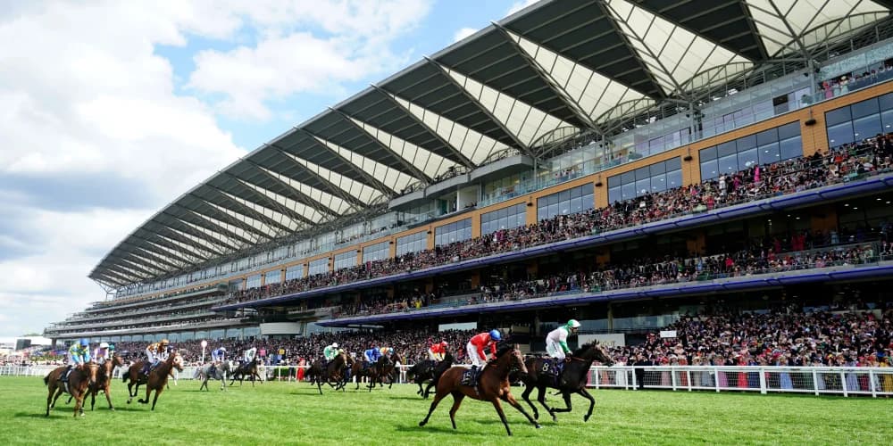 All looking set fare for Ascot on the ground front