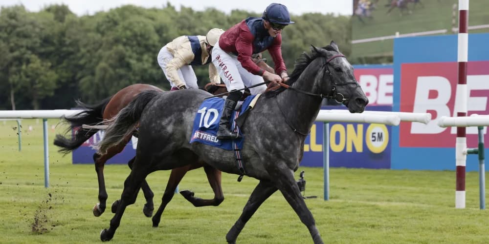 Tiber Flow bounces right back from York spill