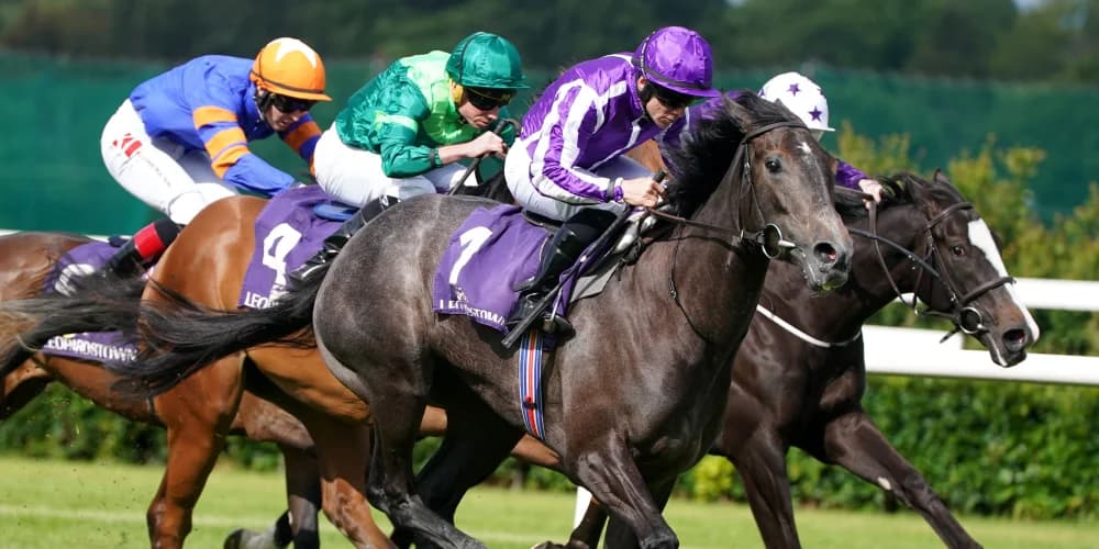 Bedtime Story leads home Frankel one-two for O’Brien